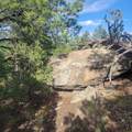 Unassigned Minehart Rd - Photo 26