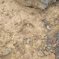 Unassigned Minehart Rd - Photo 5