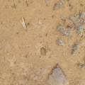 Unassigned Minehart Rd - Photo 6
