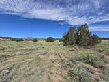 131 Navajo Ranch Resorts - Photo 11