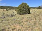 131 Navajo Ranch Resorts - Photo 15