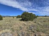 131 Navajo Ranch Resorts - Photo 16