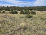 131 Navajo Ranch Resorts - Photo 17