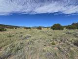 131 Navajo Ranch Resorts - Photo 18