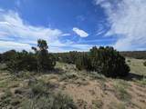 131 Navajo Ranch Resorts - Photo 19