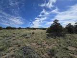 131 Navajo Ranch Resorts - Photo 20