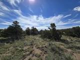 131 Navajo Ranch Resorts - Photo 22