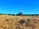 131 Navajo Ranch Resorts - Photo 27