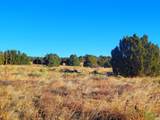 131 Navajo Ranch Resorts - Photo 28