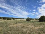131 Navajo Ranch Resorts - Photo 3