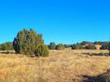 131 Navajo Ranch Resorts - Photo 30