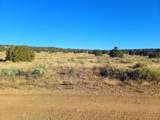 131 Navajo Ranch Resorts - Photo 31
