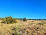 131 Navajo Ranch Resorts - Photo 32