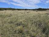 131 Navajo Ranch Resorts - Photo 4