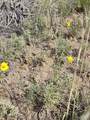 131 Navajo Ranch Resorts - Photo 5