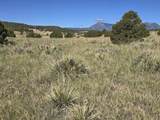 131 Navajo Ranch Resorts - Photo 7