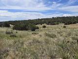 131 Navajo Ranch Resorts - Photo 8