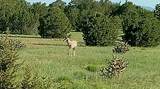 TBD Cr 342.1 - Photo 7