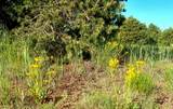TBD Cr 342.1 - Photo 9