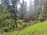 TBD County Road 406 - Photo 1