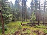 TBD County Road 406 - Photo 2