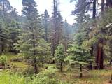 TBD County Road 406 - Photo 3