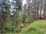 TBD County Road 406 - Photo 4
