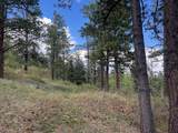 TBD County Road 406 - Photo 5