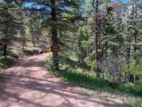 TBD County Road 406 - Photo 6