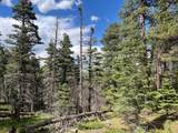 TBD County Road 406 - Photo 7