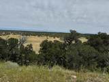 TBD Badger Rd - Photo 10