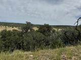 TBD Badger Rd - Photo 12