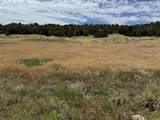 TBD Badger Rd - Photo 2