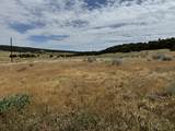 TBD Badger Rd - Photo 5