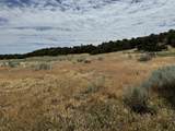 TBD Badger Rd - Photo 6