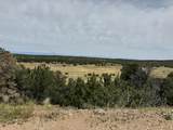TBD Badger Rd - Photo 8