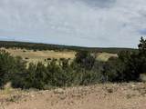 TBD Badger Rd - Photo 9
