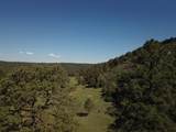33021 Big Springs Overlook - Photo 14