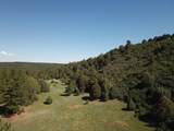 33021 Big Springs Overlook - Photo 15