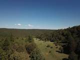 33021 Big Springs Overlook - Photo 16
