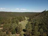 33021 Big Springs Overlook - Photo 18