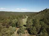 33021 Big Springs Overlook - Photo 19