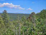 33021 Big Springs Overlook - Photo 8