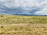 Lot 291 Black Hills #2 - Photo 10