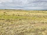 Lot 291 Black Hills #2 - Photo 13