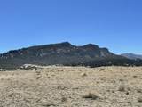 Lot 291 Black Hills #2 - Photo 21