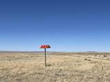 Lot 291 Black Hills #2 - Photo 28