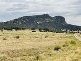 Lot 291 Black Hills #2 - Photo 8