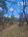 36282 Lodgepole Trace - Photo 20