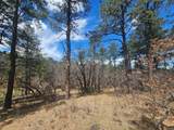 36282 Lodgepole Trace - Photo 21